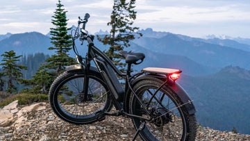 Exploring the Great Outdoors: Choosing Between Mountain Biking and Road Cycling
