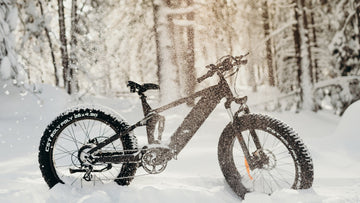 Electric Bike Motors | Himiway