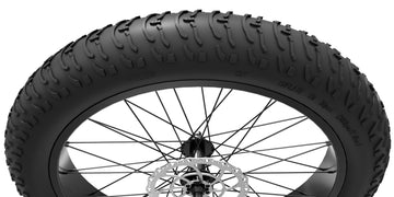 The CST Super Fat Tire
