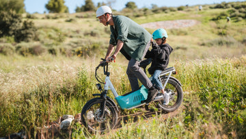 Ebike For Family Outdoor Activity| Himiway C3