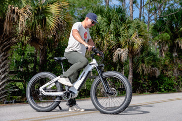 Electric bike with fat tire | Himiway