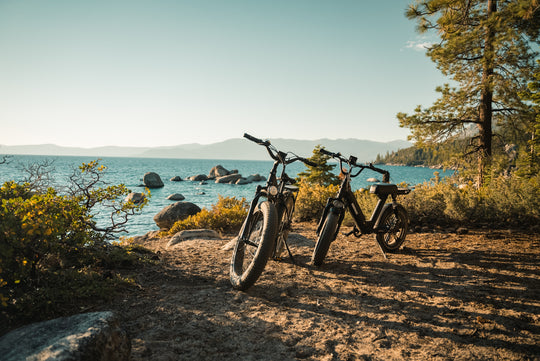Get Your Ride on with These Unbeatable Electric Bikes of 2024