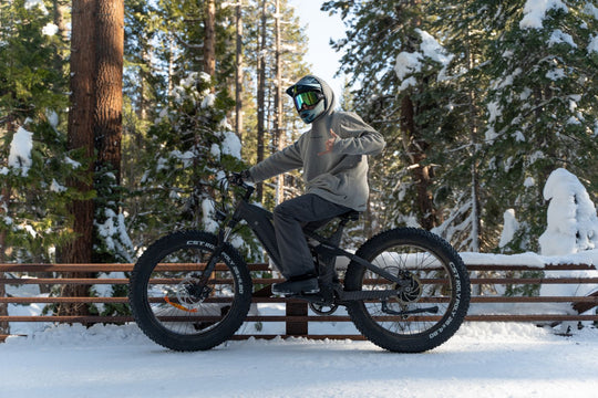 Best Fat Tire Hunting E-bikes for the Money