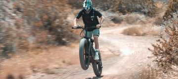 Mountain eBike