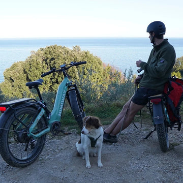 Himiway Ebikes for Sale & Shop Electric Bike