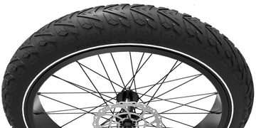 The CST 26"X4.5" Fat Tire