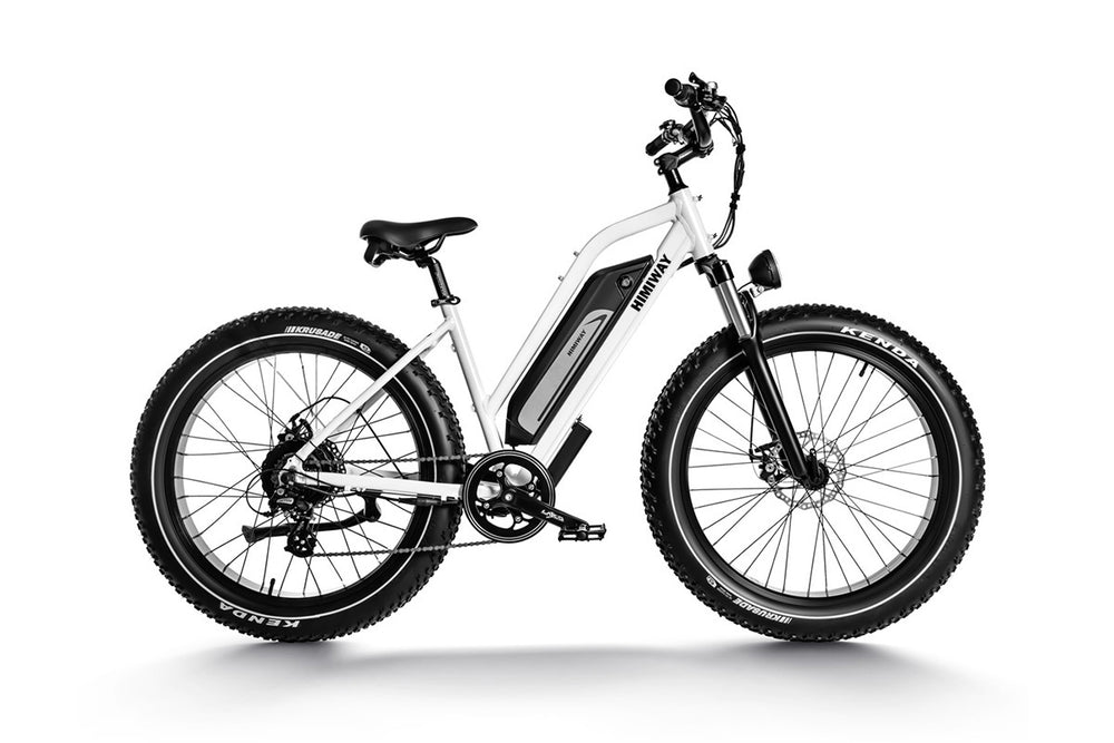 Long Range All Terrain Step Thru Electric Bike Cruiser Step-Thru