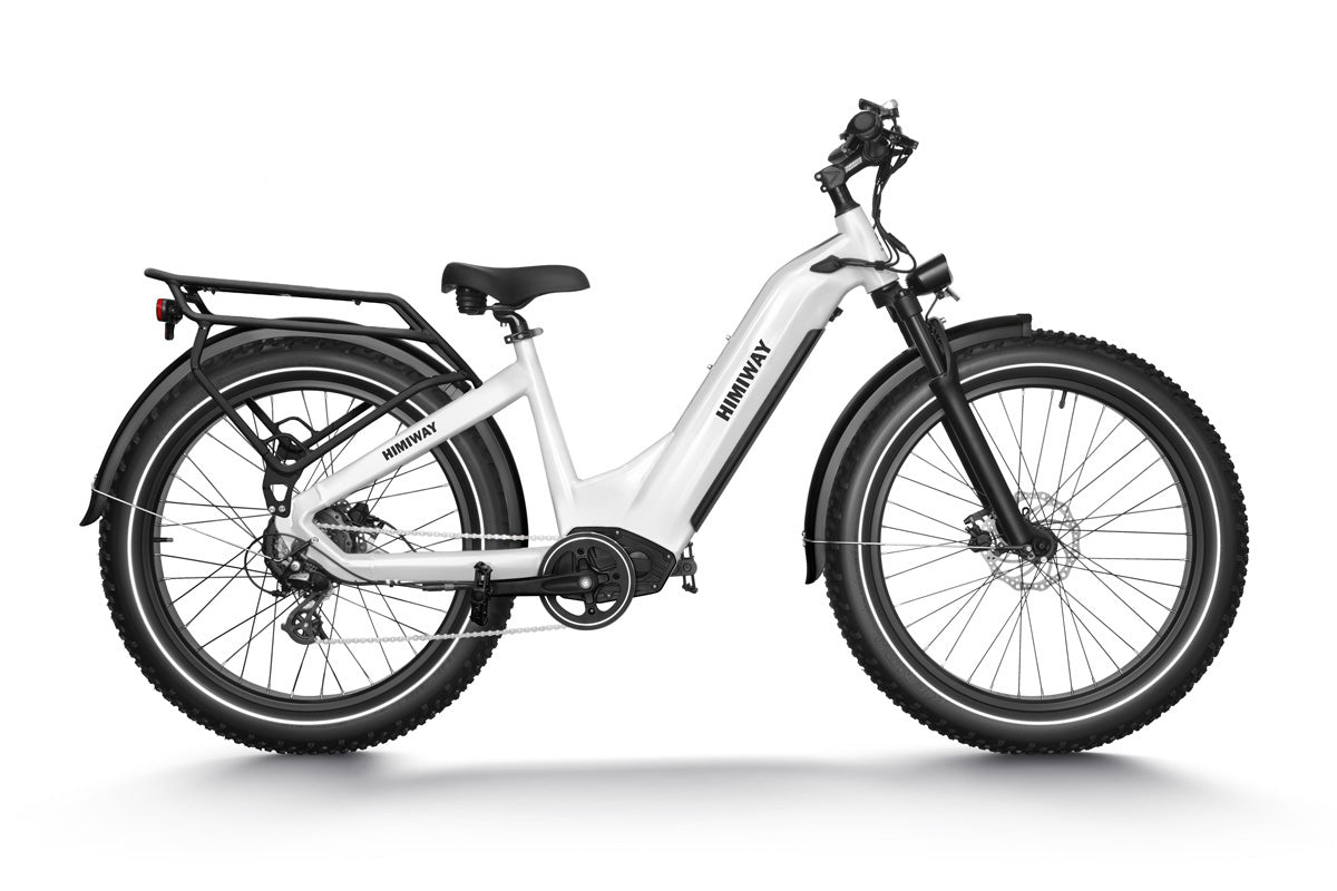 Zebra ebike price sale