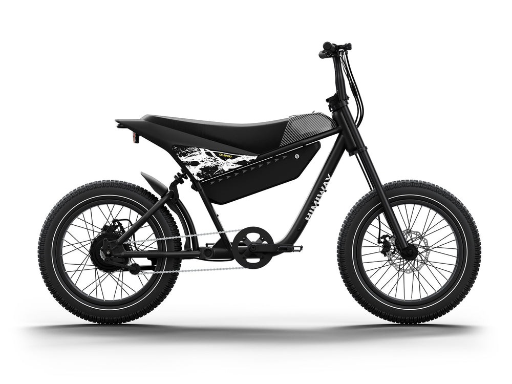 Electric Motorbike C5