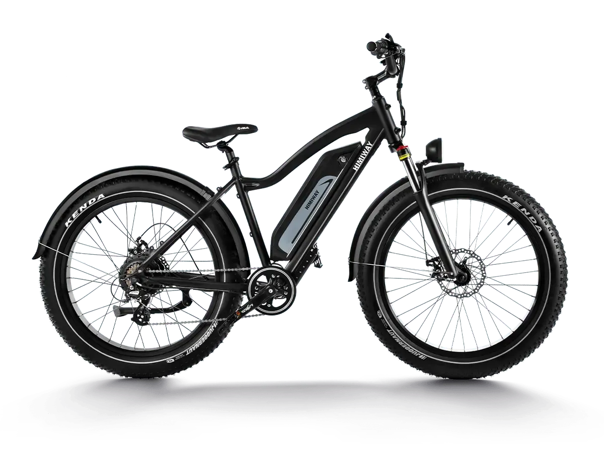 Himiway D3 (Cruiser) | Long Range Fat Tire Electric Bike