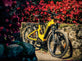 Yellow bicycle leaning against a stone wall with red flowers in the background