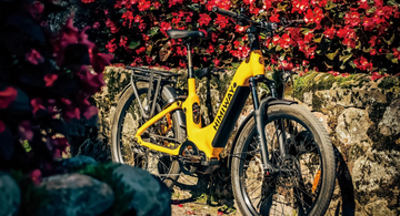 Yellow bicycle leaning against a stone wall with red flowers in the background