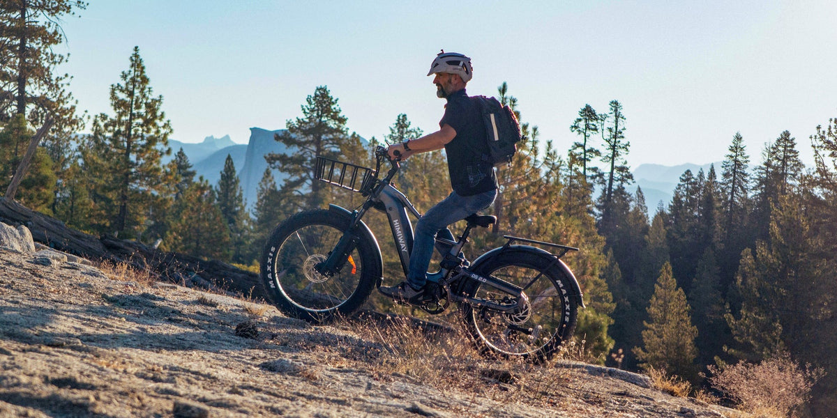 Fat Bike électrique tout-terrain Premium Zebra
