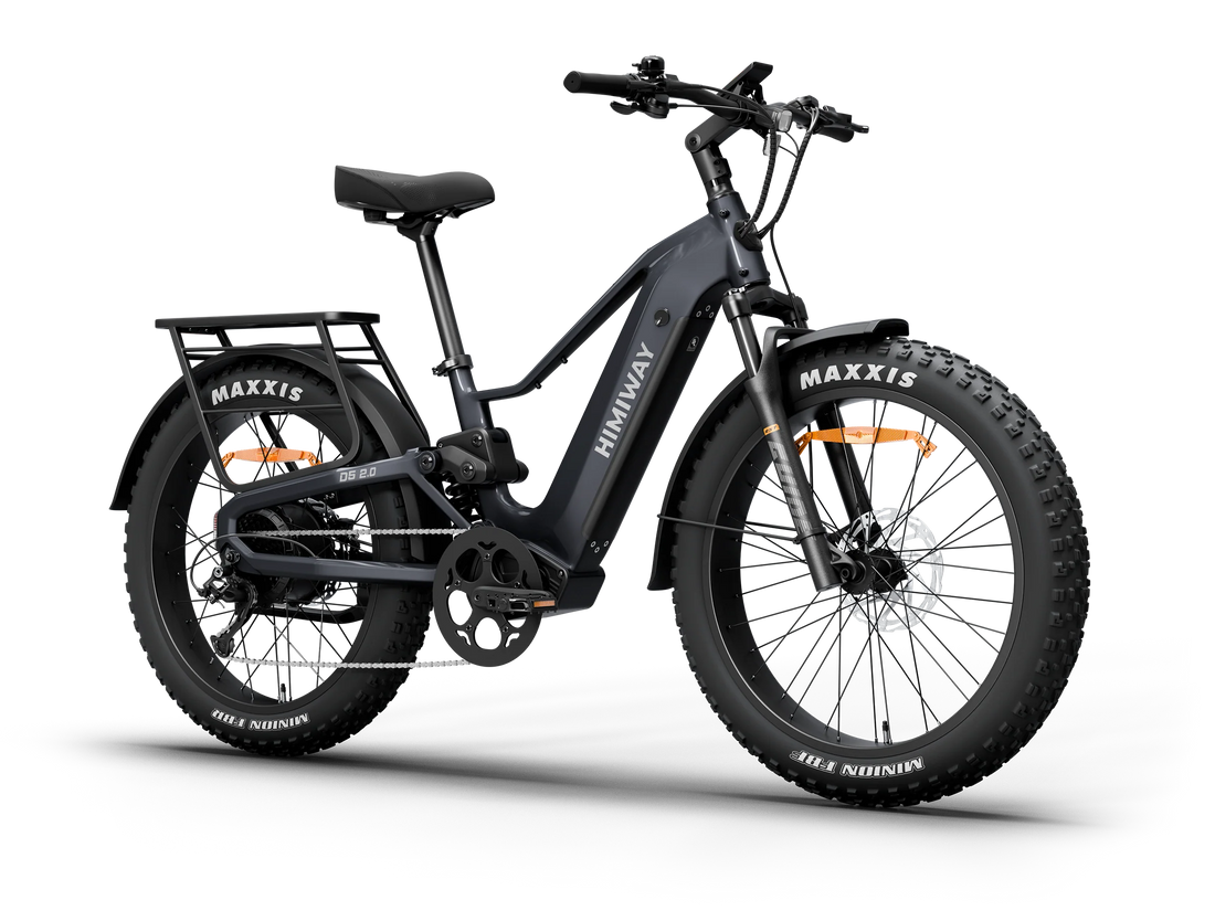 Fat Bike électrique tout-terrain Premium Zebra