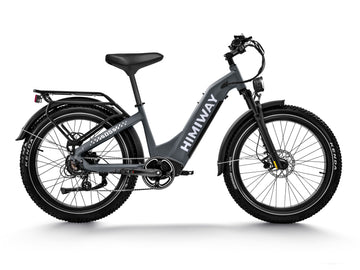 Fat Bike électrique tout-terrain Premium Zebra