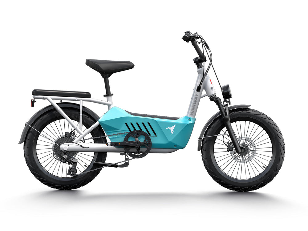 Cargo Ebike C3